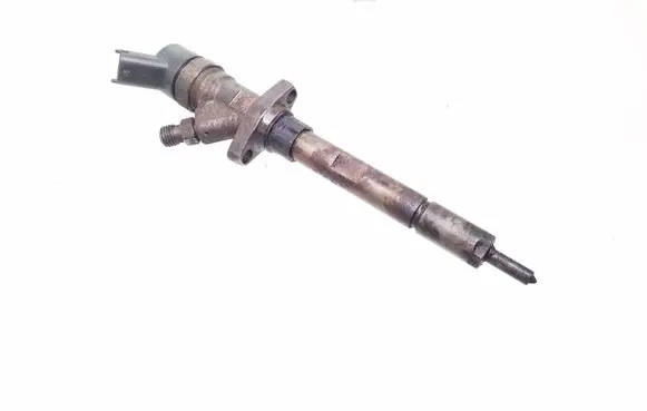 Citroen C5 Fuel injector 0445110036 9653344880