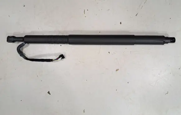 Tailgate/trunk strut/damper