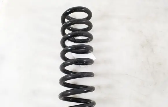 Rear coil spring