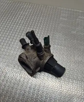 Thermostat/thermostat housing