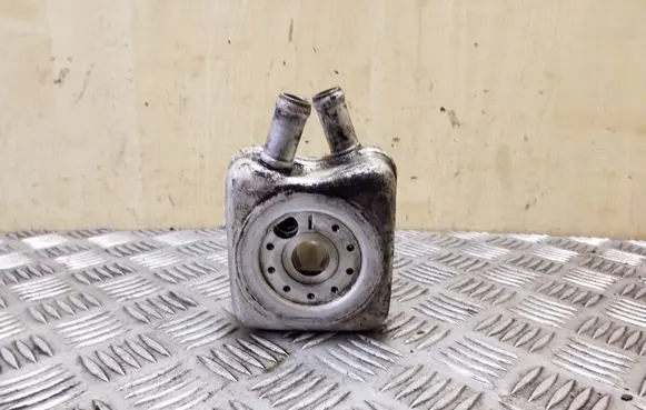 Oil filter mounting bracket