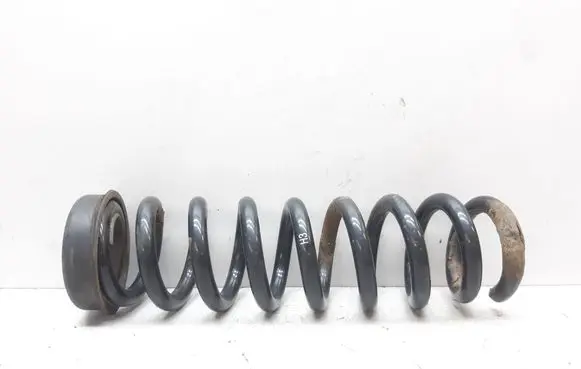 BMW X1 E84 Rear coil spring