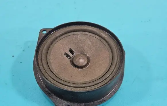 Front door speaker