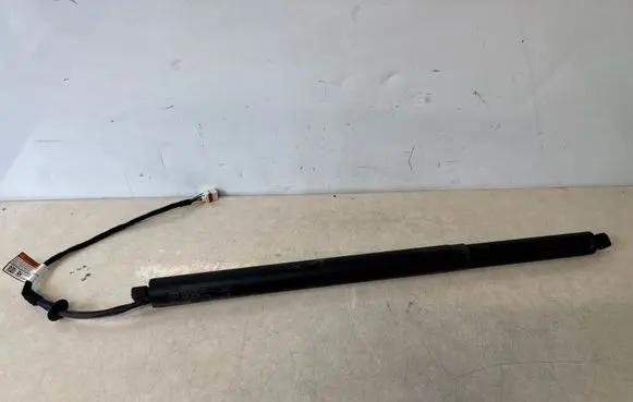 Tailgate/trunk strut/damper