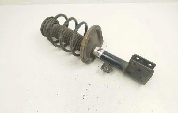 Citroen C4 I Front shock absorber with coil spring ACP107MT 161211