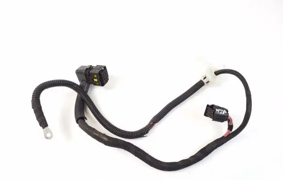 Mini Cooper Countryman F60 Other wiring loom 8643384