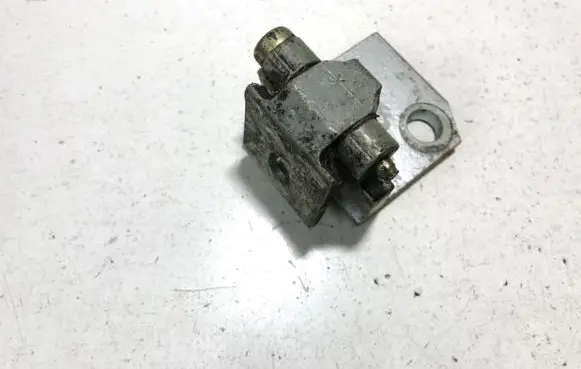 Citroen Xsara Rear door lower hinge