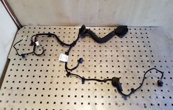 Rear door wiring loom