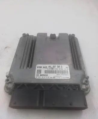 Engine control unit/module