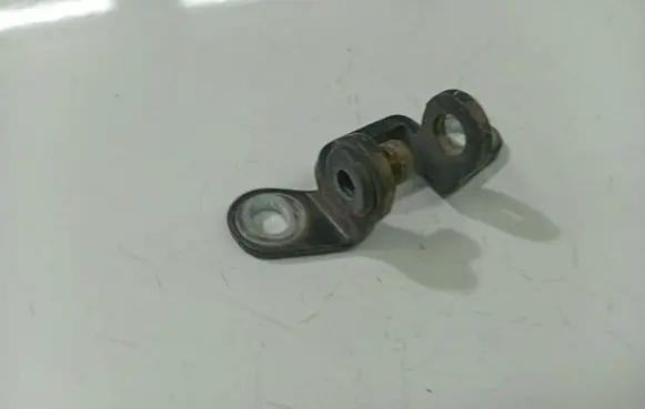 Skoda Roomster (5J) Rear door lower hinge 