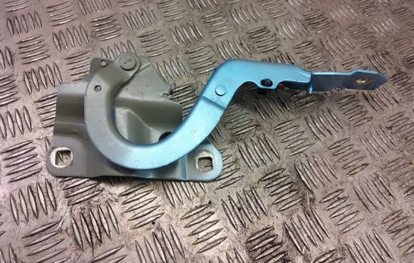 Renault Zoe Engine bonnet/hood hinges 654009955R