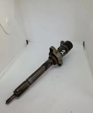 Peugeot Expert Fuel injector 0445110239