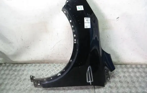 Ford Kuga II Fender