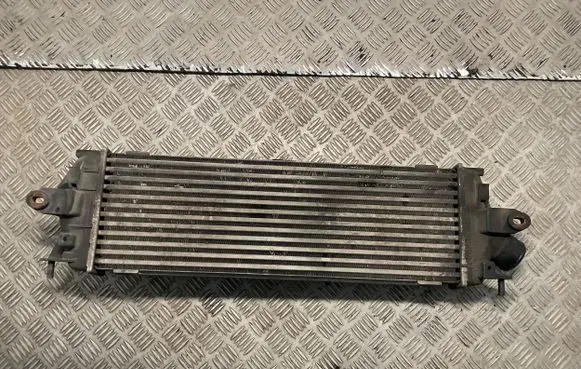 Renault Trafic II (X83) Intercooler radiator