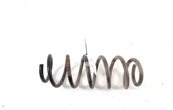 Rear coil spring
