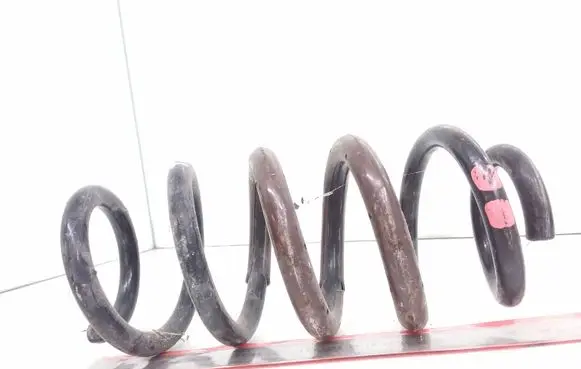 Toyota RAV 4 (XA40) Rear coil spring