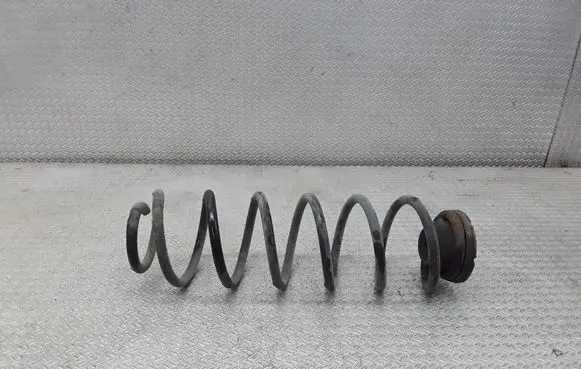 Skoda Fabia Mk1 (6Y) Rear coil spring