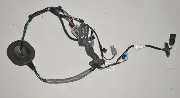 Rear door wiring loom
