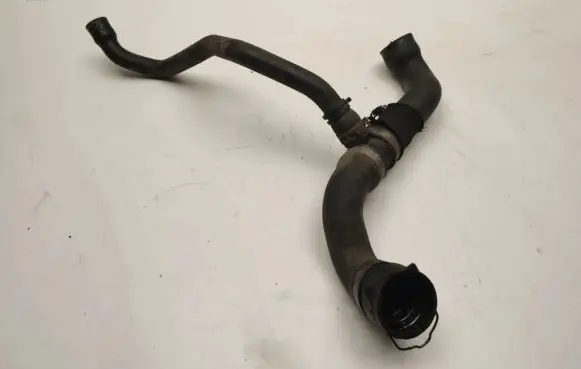 Mercedes-Benz S W220 Engine coolant pipe/hose A2205015782