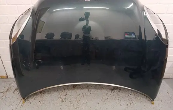 Mini Paceman (R61) Engine bonnet/hood