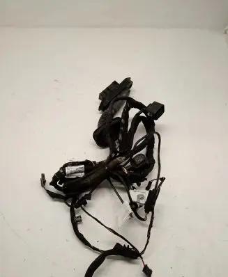 BMW 6 F06 Gran coupe Front door wiring loom 7202144