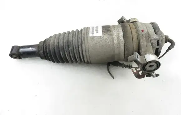 Porsche Cayenne (92A) Rear shock absorber/damper 7P5616020P