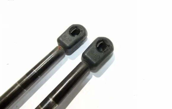 Tailgate/trunk strut/damper