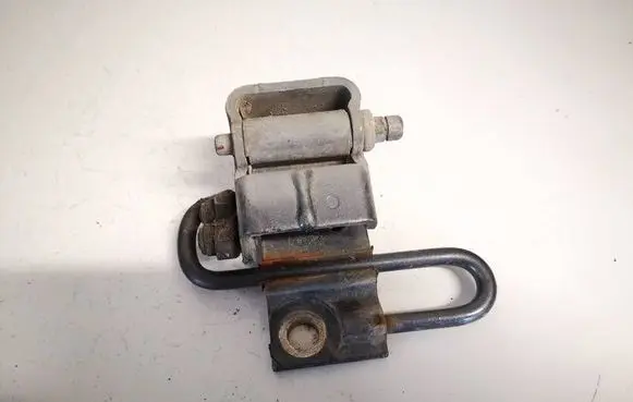 Rear door lower hinge