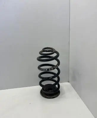Rear coil spring