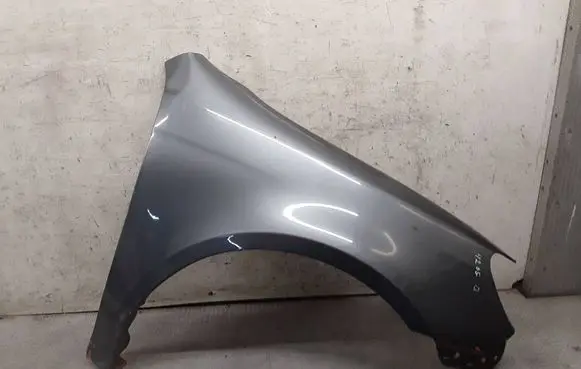 Volkswagen Golf VI Fender