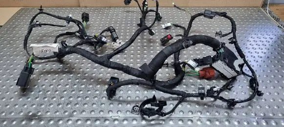Ford Fiesta Engine installation wiring loom L1BT-12C508-BB