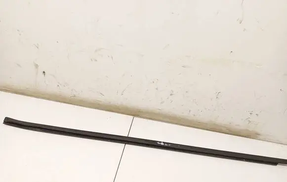 Opel Insignia B Front door glass trim molding 