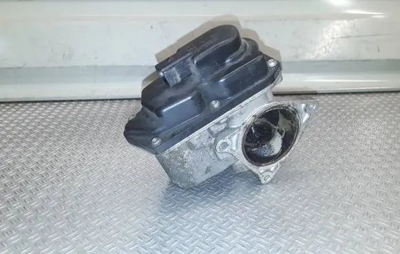 Volkswagen PASSAT B6 EGR valve 03G131501