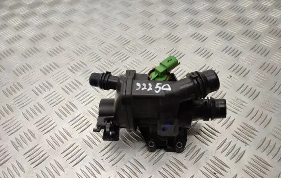 Thermostat/thermostat housing