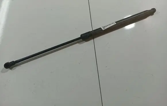 Tailgate/trunk strut/damper