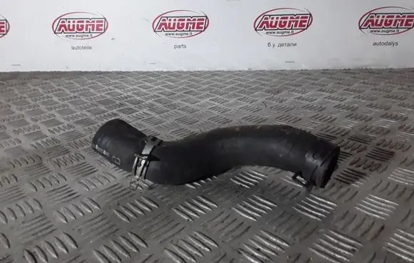 Volkswagen PASSAT B5.5 Engine coolant pipe/hose