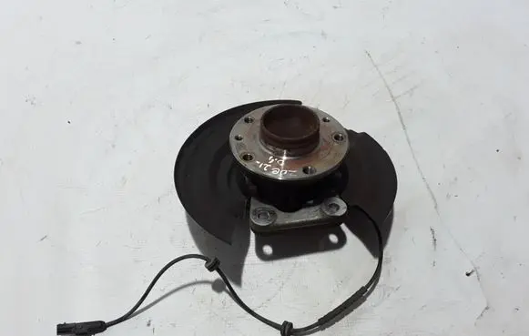 Renault Zoe Rear wheel hub 441558454R