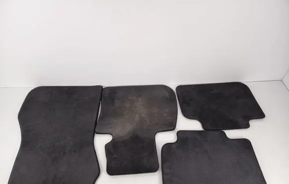 BMW X1 F48 F49 Car floor mat set 10648011