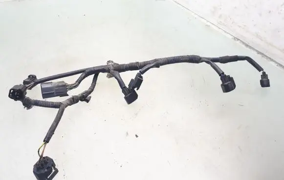 Mazda 5 Fuel injector wires LFB667080A