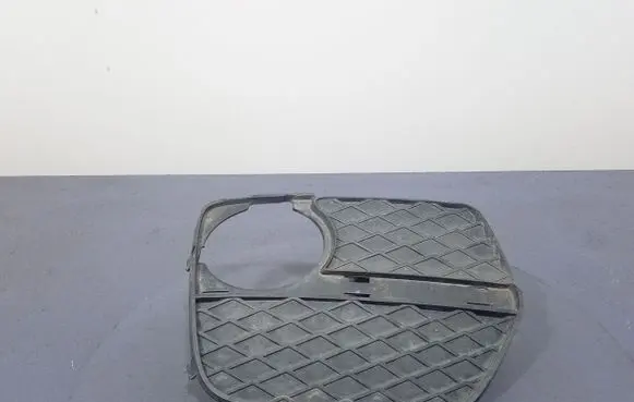 BMW X6 E71 Front bumper 7312606