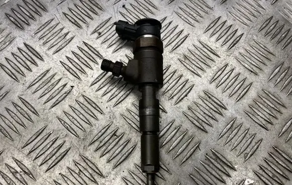 Peugeot 206 Fuel injector 0445110135 005008