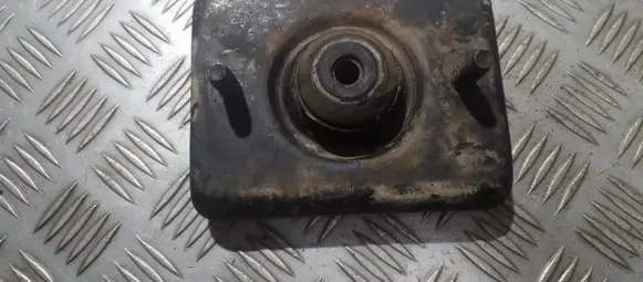 Coil spring mount