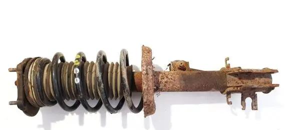 Citroen Nemo Front shock absorber/damper