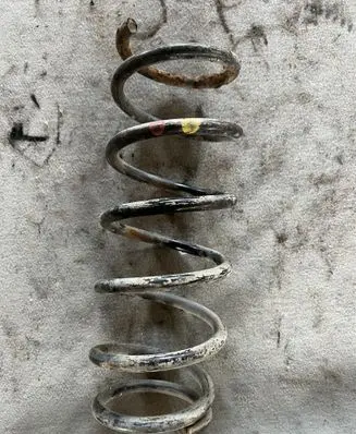 Rear coil spring