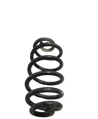 Audi A4 S4 B6 8E 8H Rear coil spring