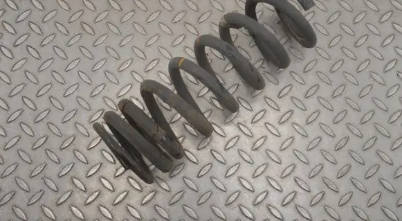 Rear coil spring