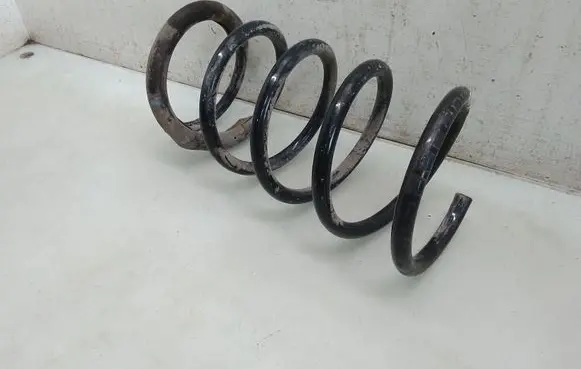 Rear coil spring