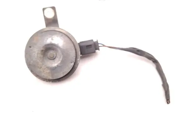 Horn signal