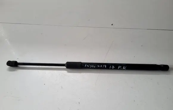 Opel Insignia B Front bonnet/hood damper/strut 39150008