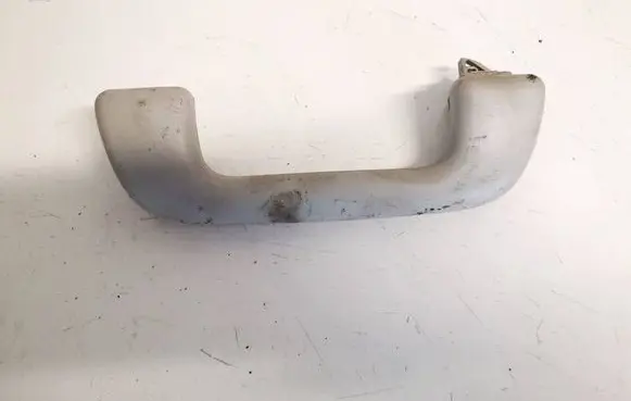 Front interior roof grab handle